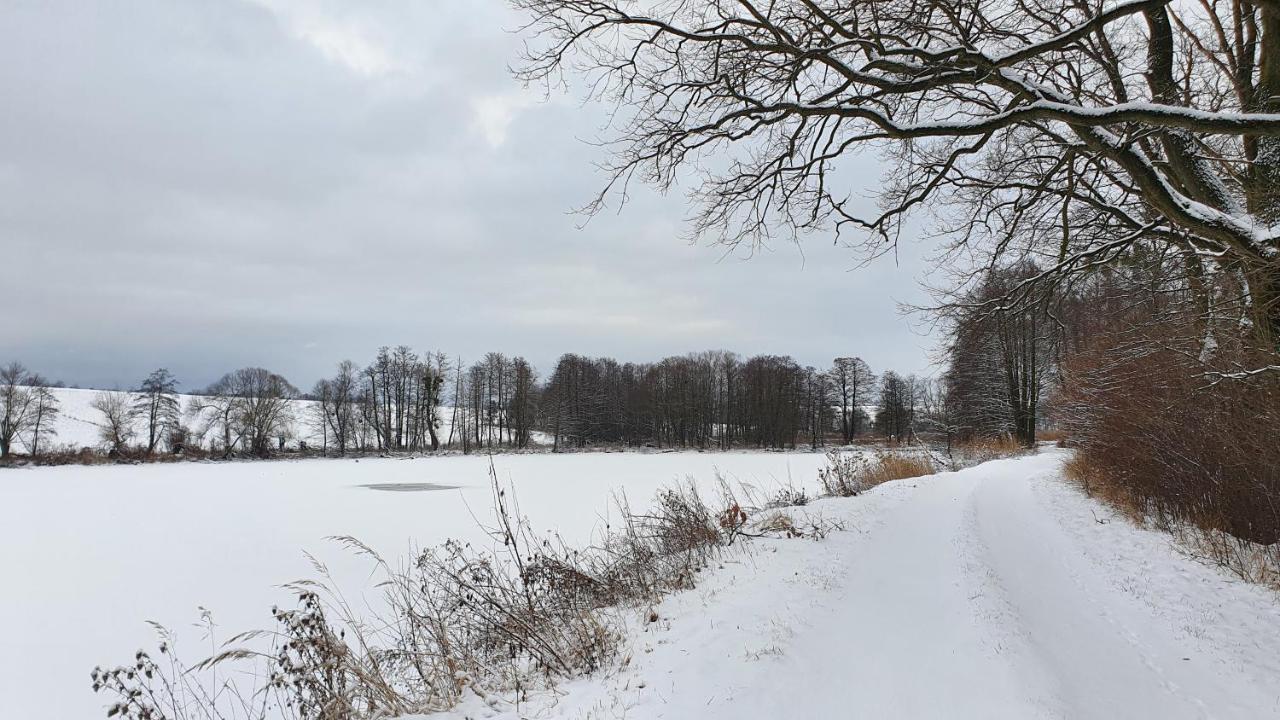 Nasz - Dom Dla 15 Osób, Sauna, Widok Na Staw, Blisko Stoków Dębowiec
